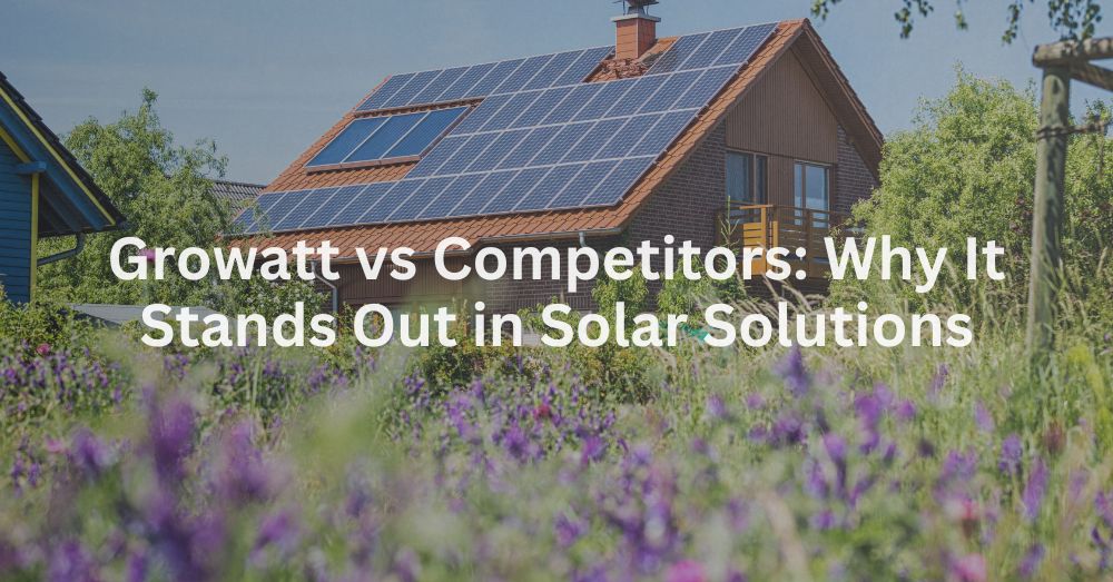 20241204-1 Growatt vs Competitors Why It Stands Out in Solar Solutions
