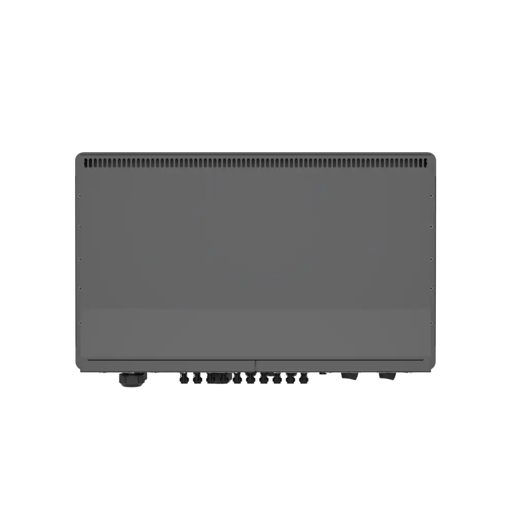 Merc-G1A-HE-dorsal view